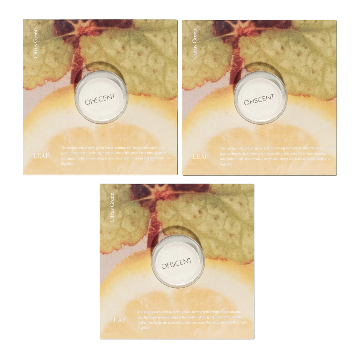 [OHSCENT] CAR FRESHENER CAPSULE REFILL BASIC 3PACK (Forest, Leaf, Love)
